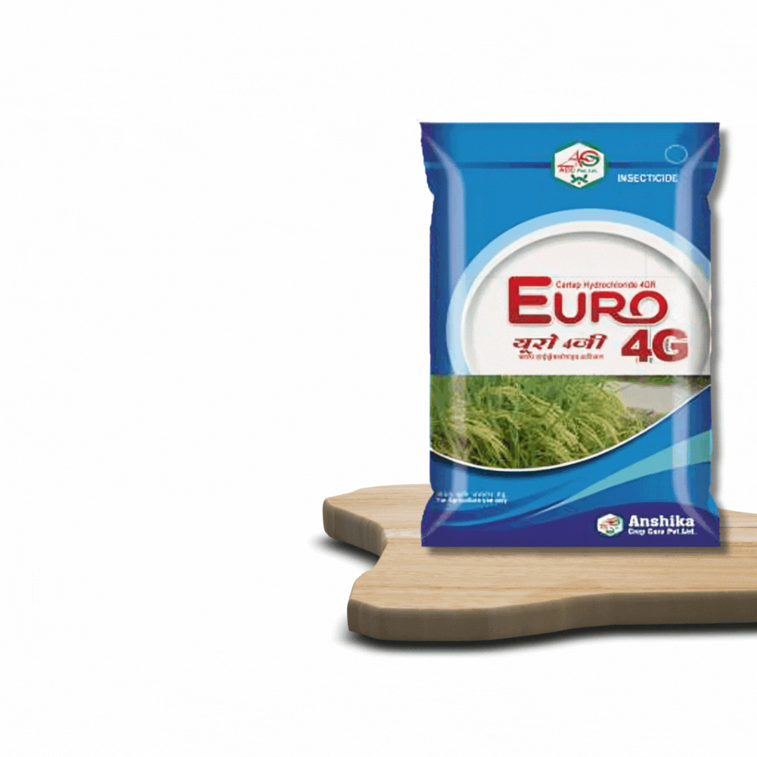 EURO 4G